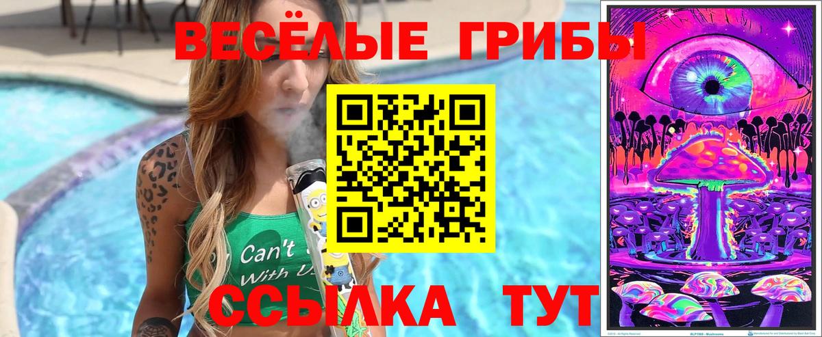 Псилоцибиновые грибы GOLDEN TEACHER  Галлюциногенные грибы Cubensis  Красноперекопск 